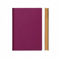  Deguf flagship series A5 horizontal line notebook purple
