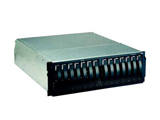 IBM TotalStorage DS300(1701-1RS)