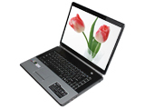  HP870 D3