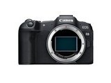  Canon EOS R8 (RF 1000mm f/2.8)