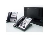 NEC SL10008 96ֻ
