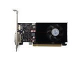 GT1030N-4GBD4 LP