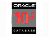 Oracle 10G 标准版ONE (10用户)