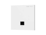 RG-EAP102(E) 