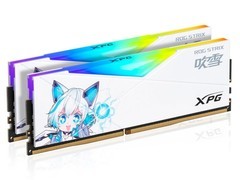威刚XPG 龙耀D50 ROG STRIX 吹雪 32GB（2×16GB）DDR4 3600