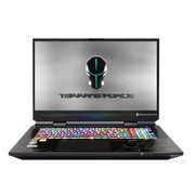 Terrans Force X7200(i9 11900K/32GB/2TB/RTX3080/300Hz)