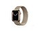 Apple Watch Series 7 41mmGPS/ֱ/˹