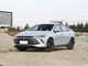 ���ǵ���PLUS 2025�� EV �Ǽݰ� 510KM������
